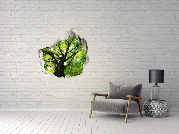 Autocolant 3D gaura cu priveliște Pădurea verde într-o gaură în perete
