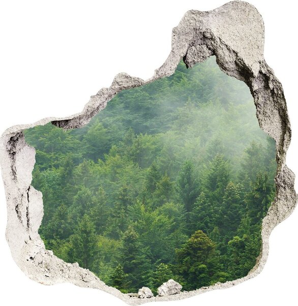 Autocolant gaură 3D pădure misterioasă