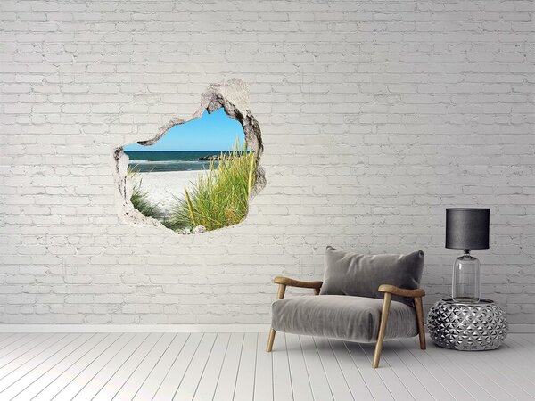 Autocolant de perete gaură 3D O plajă fermecătoare cu vedere la mare