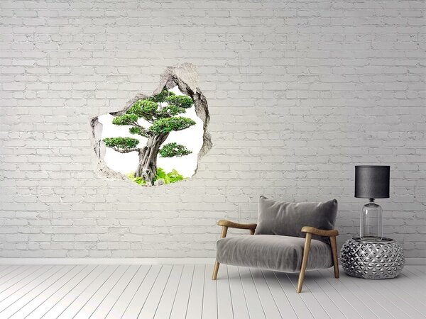 Autocolant 3D gaura cu priveliște Bonsai într-o gaură în perete