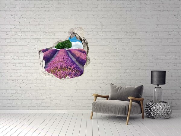 Autocolant de perete gaură 3D Câmp de lavandă în spatele zidului