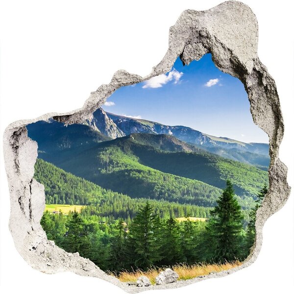 Fototapet 3D gaură în perete Dealul din Tatra