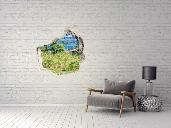 Autocolant autoadeziv gaură Peisaj tropical în spatele găurii din perete
