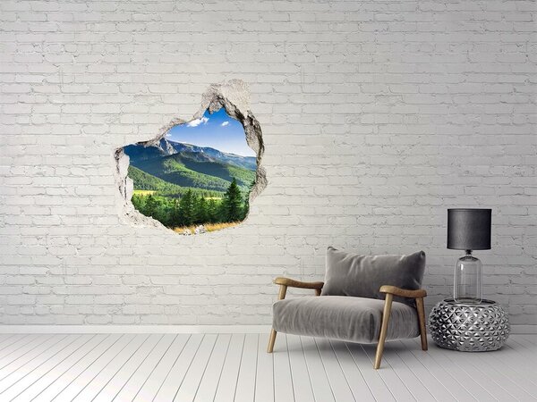 Fototapet 3D gaură în perete Peisaj montan printr-o gaură în perete