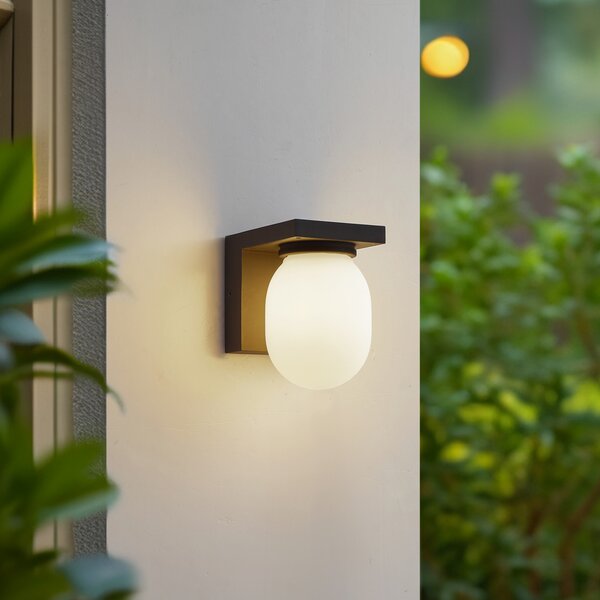 Lucande Aplică de exterior Ovaali, sticlă, gri închis, IP65, reglabil, Negru, Aluminiu, Modern