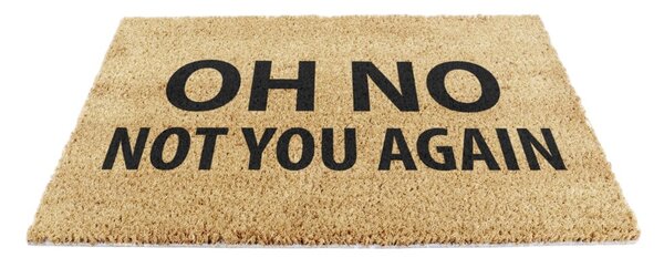 Covoraș de intrare din fibre de nucă de cocos 40x60 cm Not You Again – Artsy Doormats