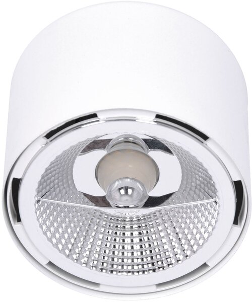 Kaja Horn lampă de tavan 1x10 W alb K-5133