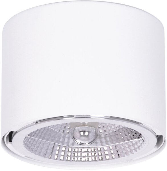 Kaja Horn lampă de tavan 1x10 W alb K-5133