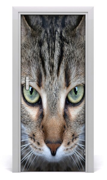 Autocolante pentru usi perete Cat Eyes