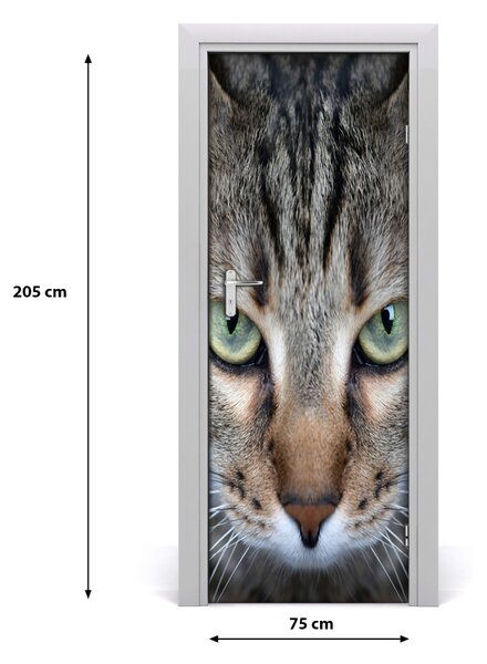 Autocolante pentru usi perete Cat Eyes