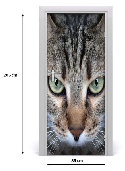 Autocolante pentru usi perete Cat Eyes