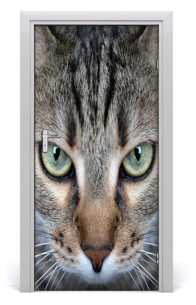 Autocolante pentru usi perete Cat Eyes