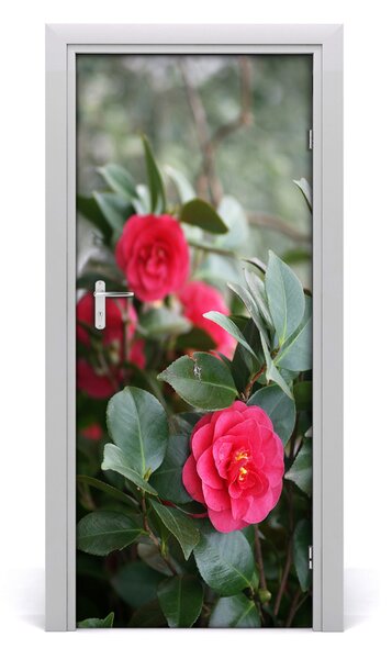 Autocolante pentru usi Camellia usi