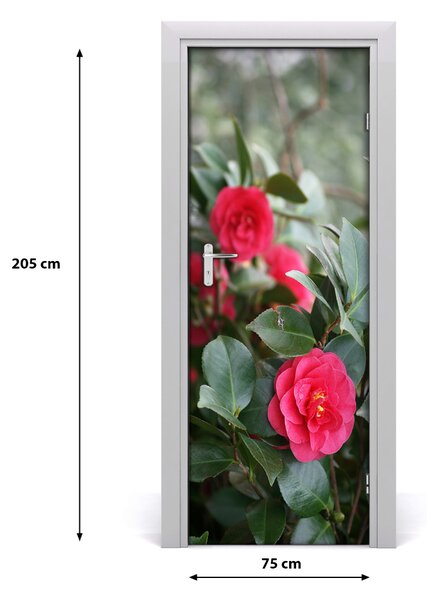 Autocolante pentru usi Camellia usi
