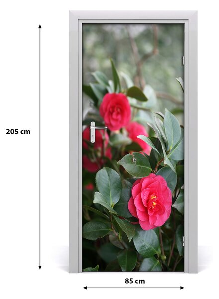 Autocolante pentru usi Camellia usi