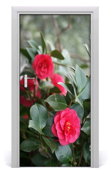 Autocolante pentru usi Camellia usi