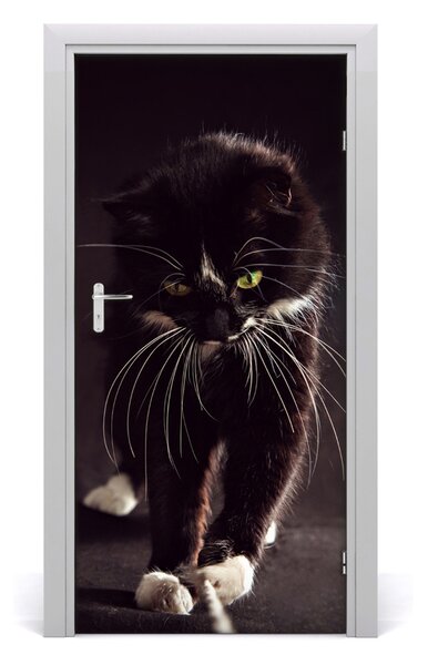 Autocolante pentru usi Perete pisică neagră