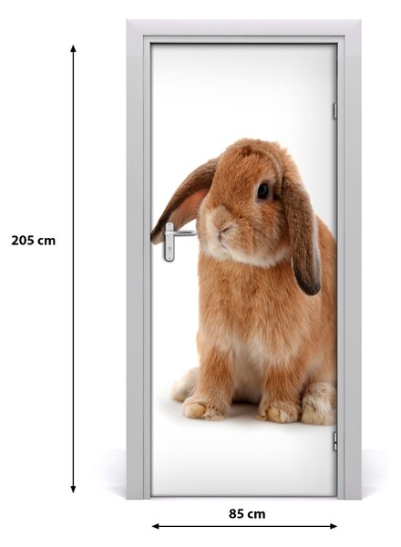 Autocolante pentru usi perete Rabbit