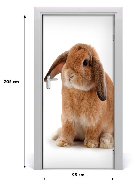 Autocolante pentru usi perete Rabbit