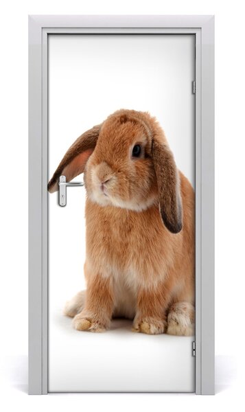 Autocolante pentru usi perete Rabbit
