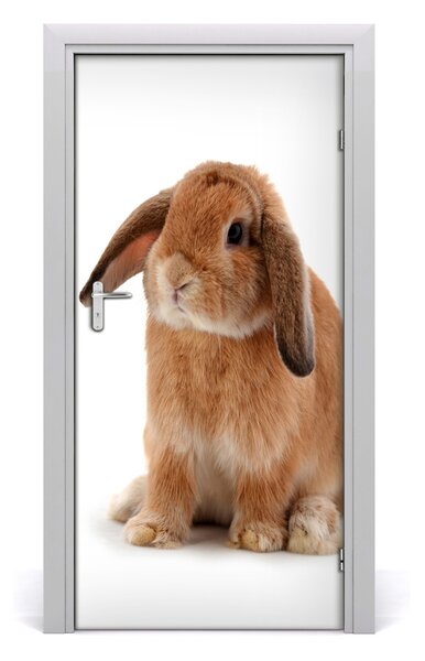 Autocolante pentru usi perete Rabbit