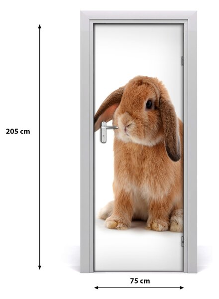 Autocolante pentru usi perete Rabbit