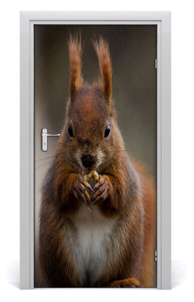 Autocolante pentru usi perete Squirrel