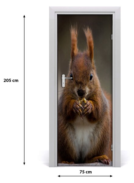 Autocolante pentru usi perete Squirrel