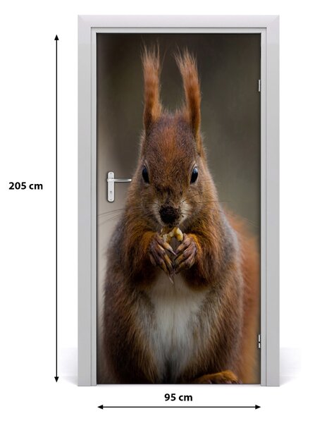Autocolante pentru usi perete Squirrel