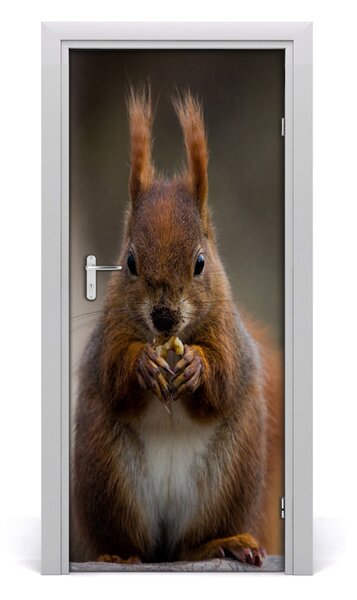 Autocolante pentru usi perete Squirrel