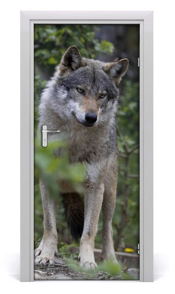 Autocolante pentru usi Wolf în pădure