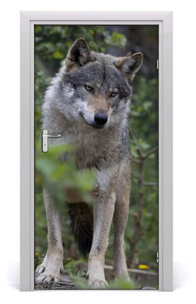 Autocolante pentru usi Wolf în pădure