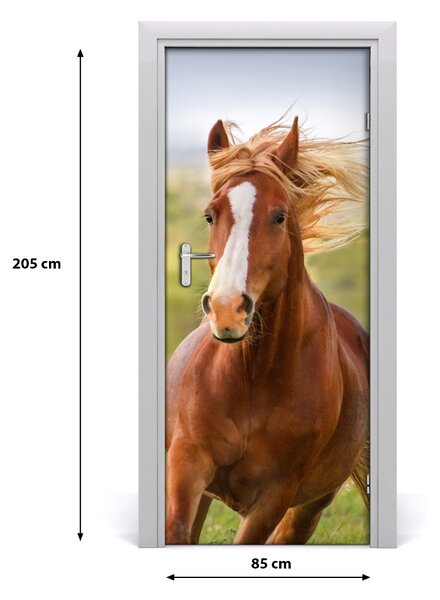 Autocolante pentru usi Un cal în galop