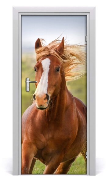 Autocolante pentru usi Un cal în galop