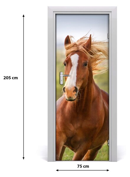 Autocolante pentru usi Un cal în galop