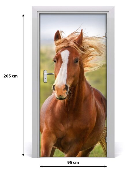 Autocolante pentru usi Un cal în galop