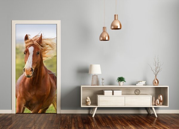 Autocolante pentru usi Un cal în galop