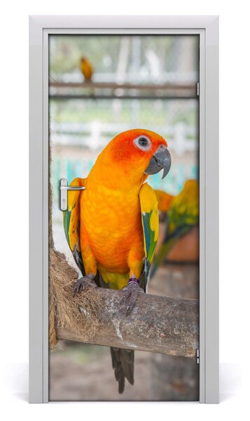 Autocolante pentru usi Parrot de perete