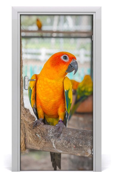 Autocolante pentru usi Parrot de perete