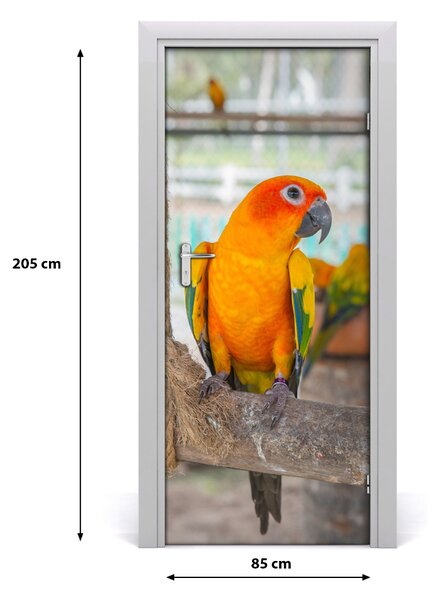 Autocolante pentru usi Parrot de perete