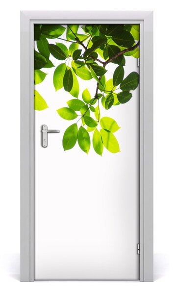 Autocolante pentru usi autocolant de perete furnir frunze ușă verde