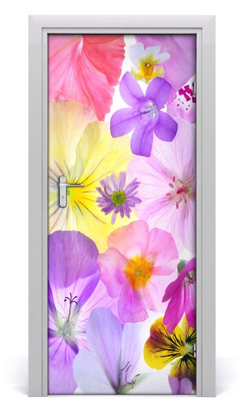 Autocolante pentru usi Autocolant de perete furnir DOOR flori colorate