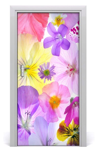 Autocolante pentru usi Autocolant de perete furnir DOOR flori colorate