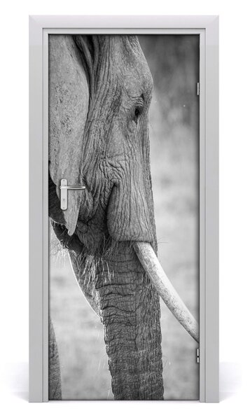 Autocolante pentru usi elefant de perete