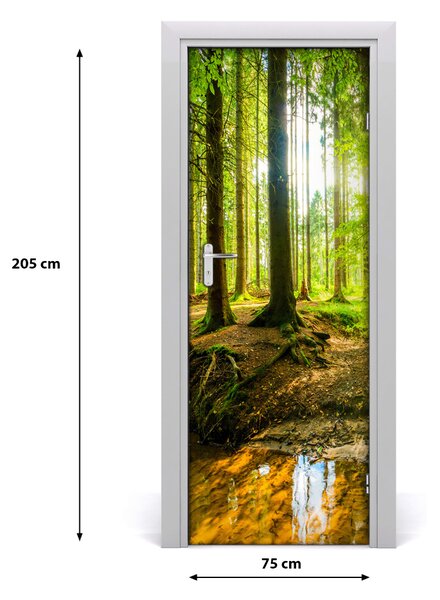 Autocolante pentru usi Soare în pădure