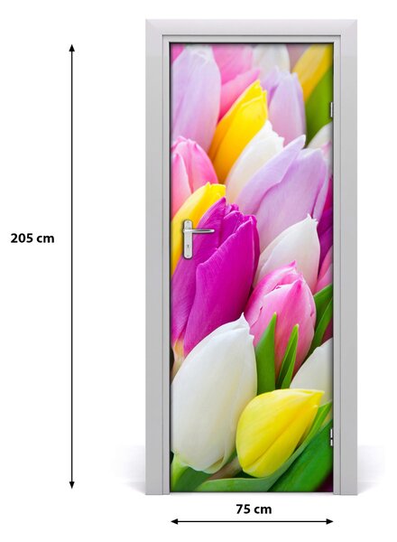 Autocolante pentru usi lalele colorate