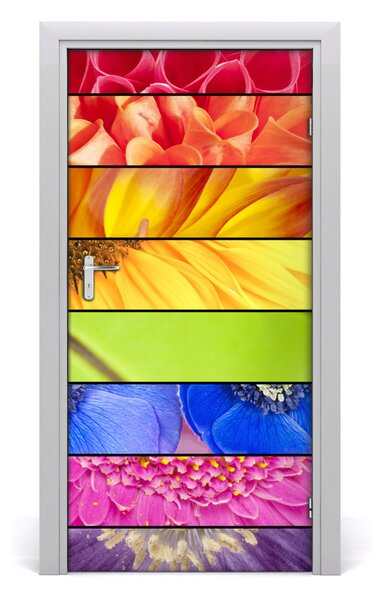 Autocolante pentru usi flori colorate