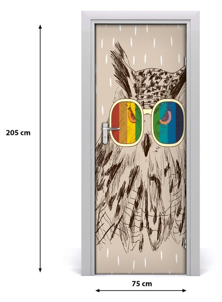 Autocolante pentru usi Owls ochelari