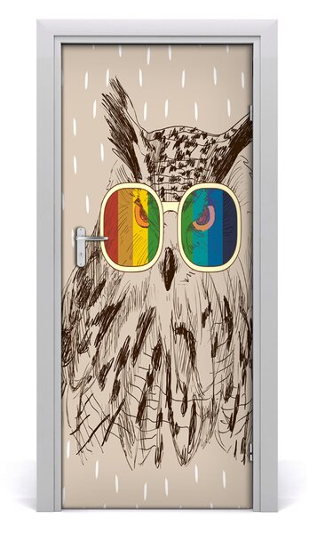 Autocolante pentru usi Owls ochelari