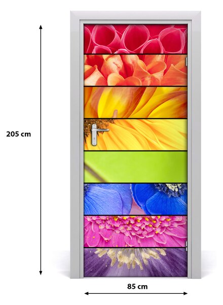 Autocolante pentru usi flori colorate